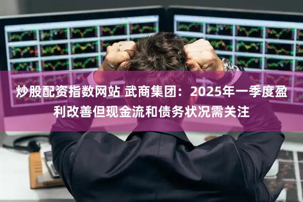 炒股配资指数网站 武商集团：2025年一季度盈利改善但现金流和债务状况需关注